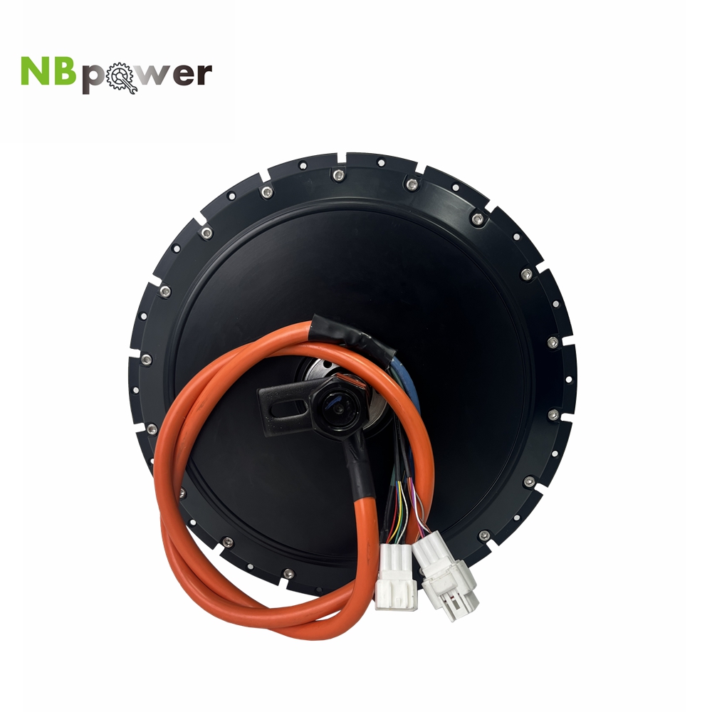 Motor de Cubo Traseiro para Bi - Qs Motor 273 8000W Hub Motor avaliação e preço